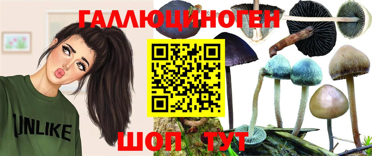 Галлюциногенные грибы Cubensis Ноябрьск