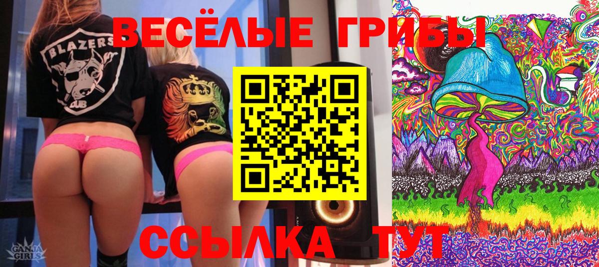 Ноябрьск  Псилоцибиновые грибы GOLDEN TEACHER  Вход с VPN 